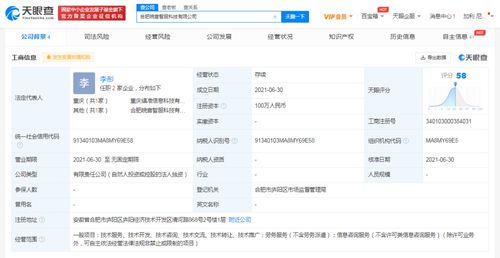 北京信息技術(shù)咨詢服務(wù) 驅(qū)動企業(yè)數(shù)字化轉(zhuǎn)型的核心引擎